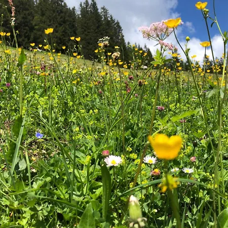 Lechrefugium Ferienwohnungen Am Lechweg & Lechradweg * Steeg