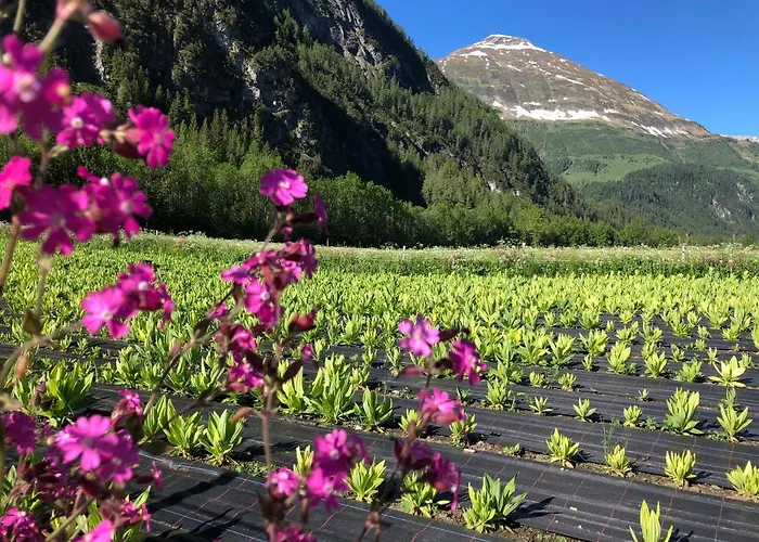 Erholungswelt Lechrefugium Apartmán