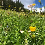 Lechrefugium Ferienwohnungen Am Lechweg & Lechradweg * ستيغ
