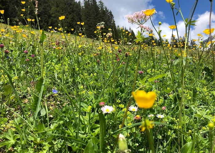 Lechrefugium Apartments Mit Bergblick Lechtal * 스티그