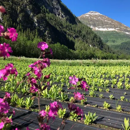 Erholungswelt Lechrefugium Daire